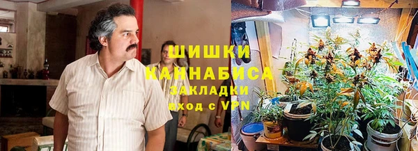 шишки Михайловка