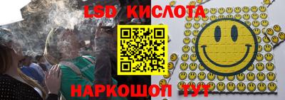 гашик Дубна
