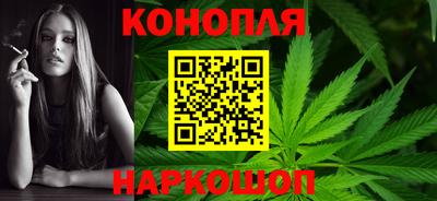 гашик Дубна