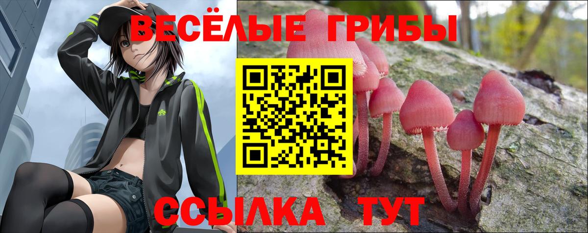 МЕФ Электросталь