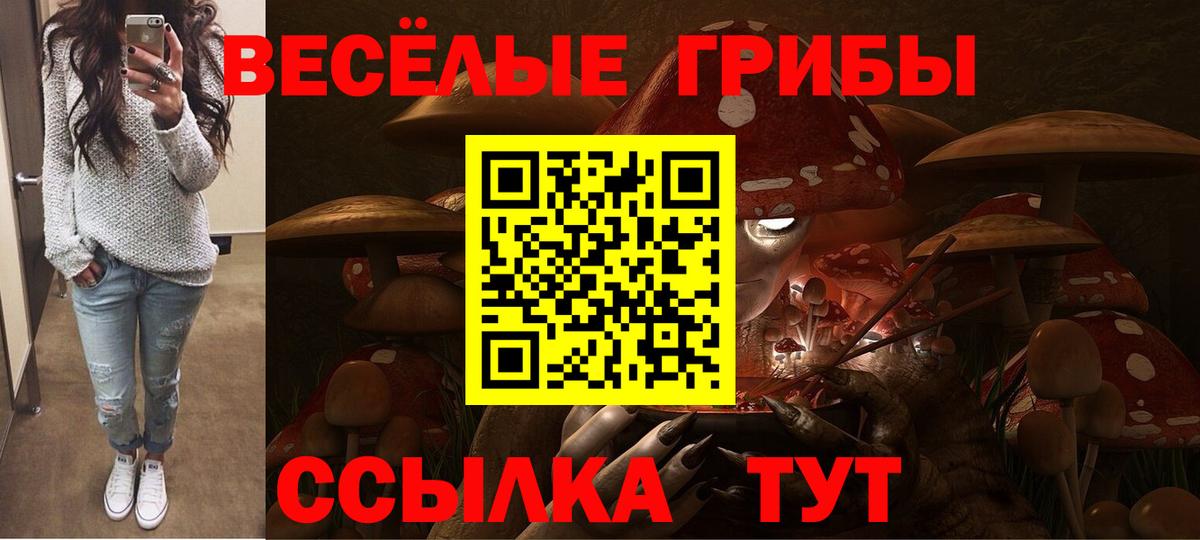 Галлюциногенные грибы Magic Shrooms  Псилоцибиновые грибы Psilocybine cubensis  Вход с VPN  хочу наркоту  Электросталь 
